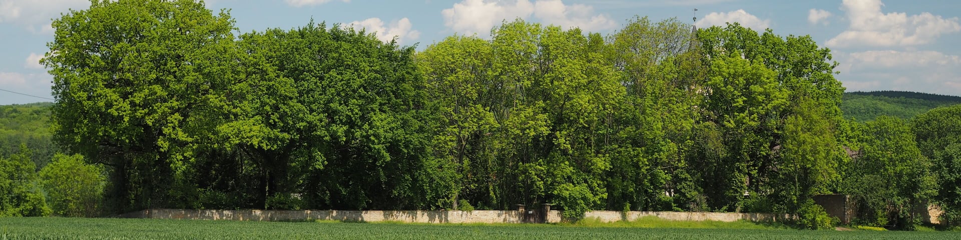 This is a picture of the protected area listed at WDPA under the ID