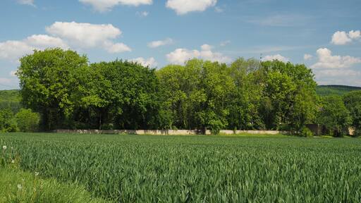 This is a picture of the protected area listed at WDPA under the ID