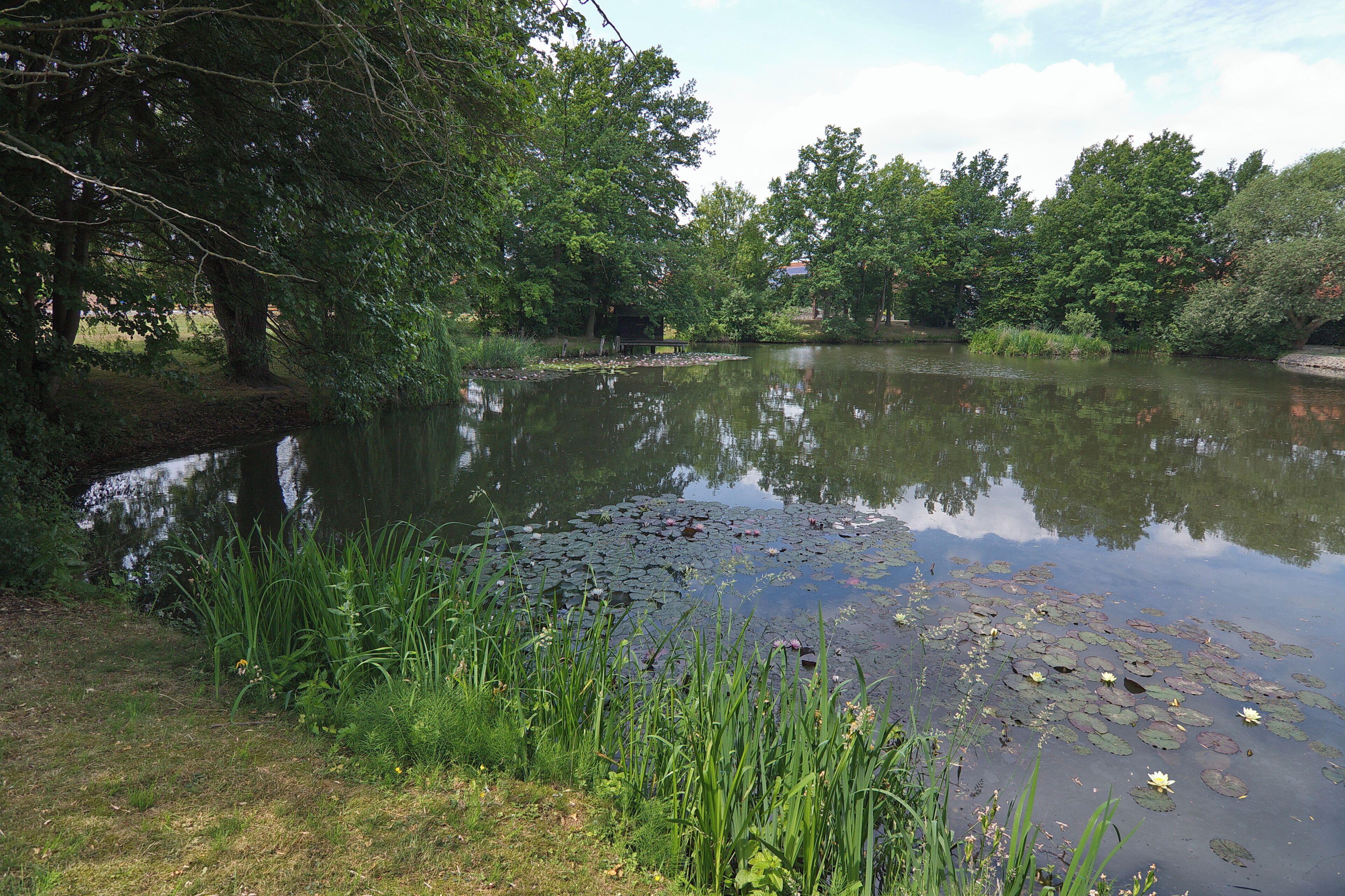 Kreuzriehe (Suthfeld), Niedersachsen, Deutschland