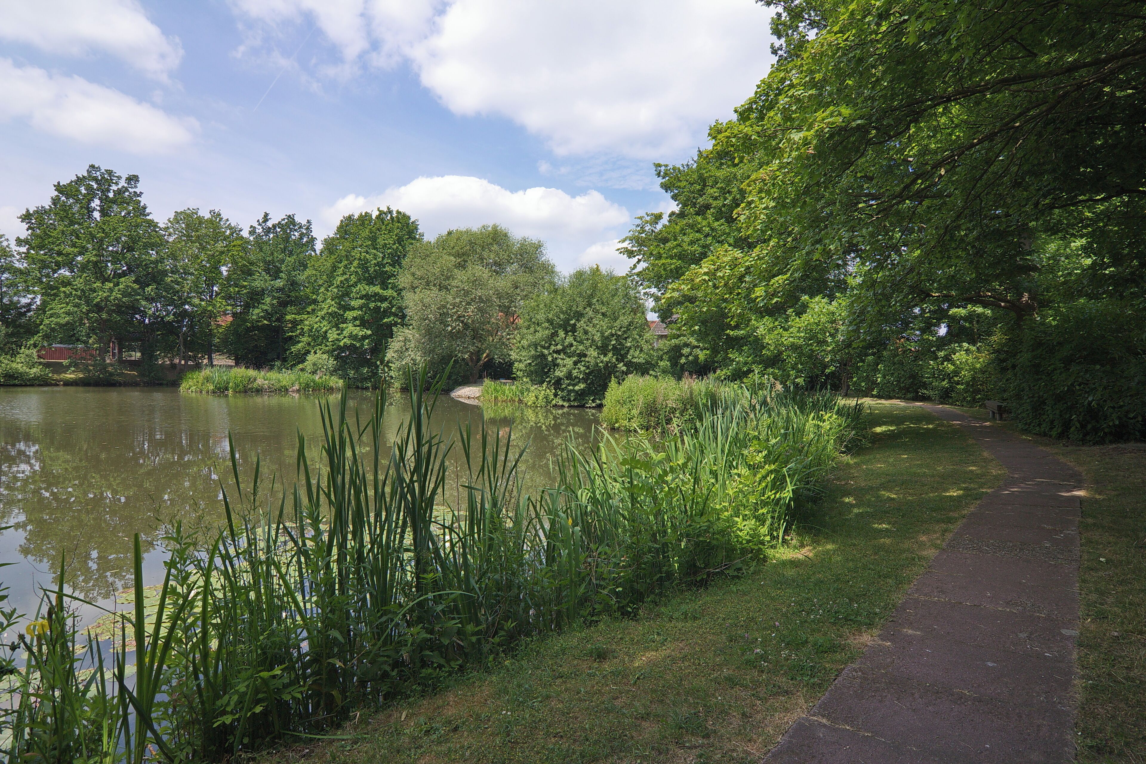 Kreuzriehe (Suthfeld), Niedersachsen, Deutschland