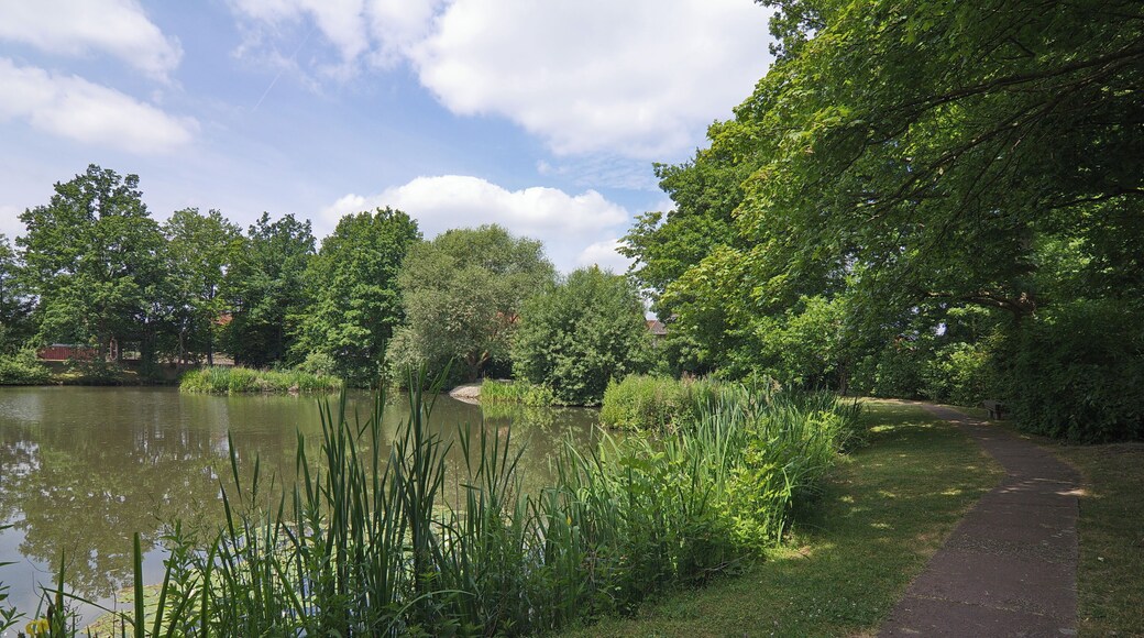 Kreuzriehe (Suthfeld), Niedersachsen, Deutschland