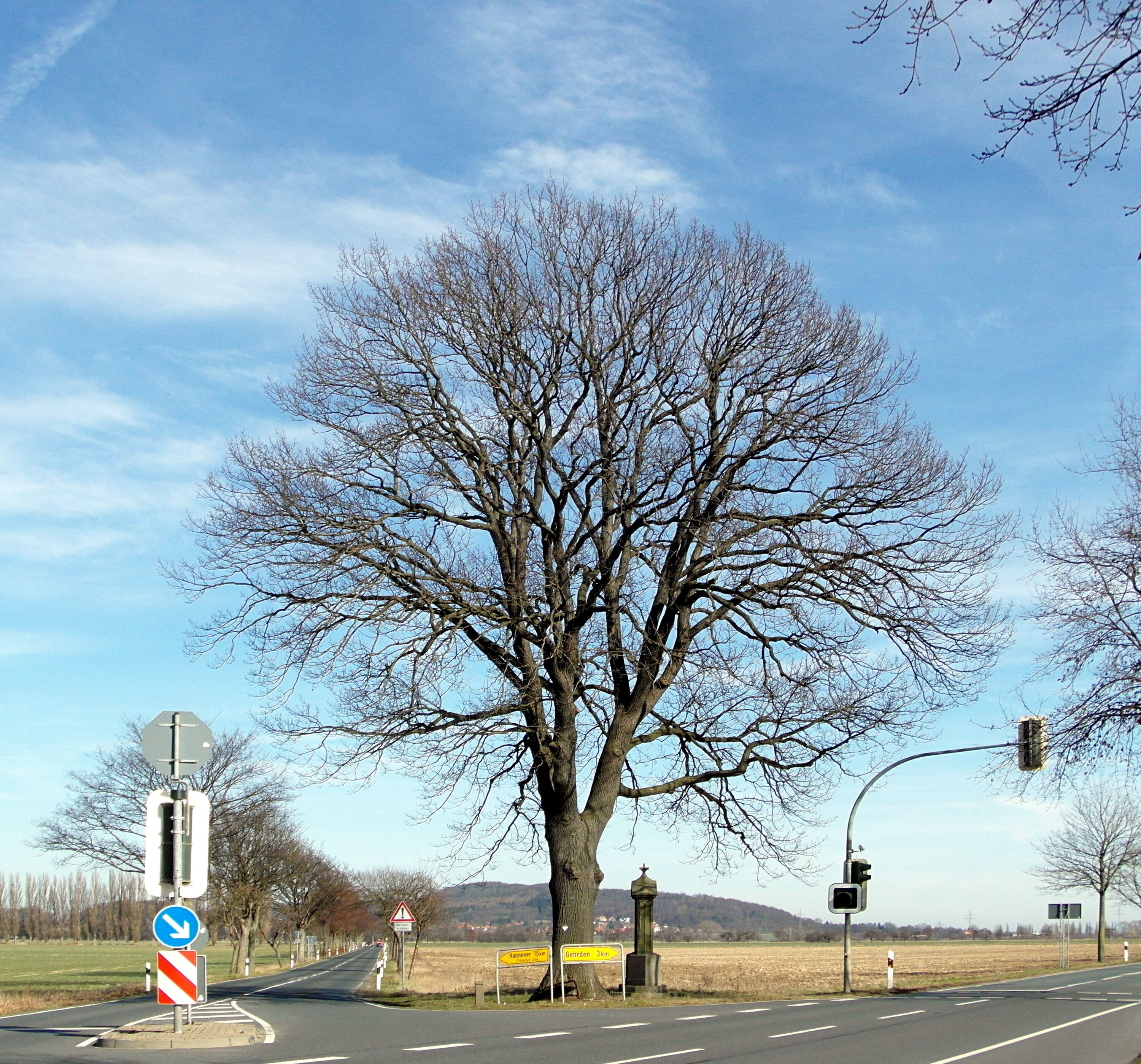 Das Naturdenkmal ND-H 163 Stieleiche steht beim Magnusdenkmal östlich des Stadtteils Leveste der Stadt Gehrden in der Region Hannover