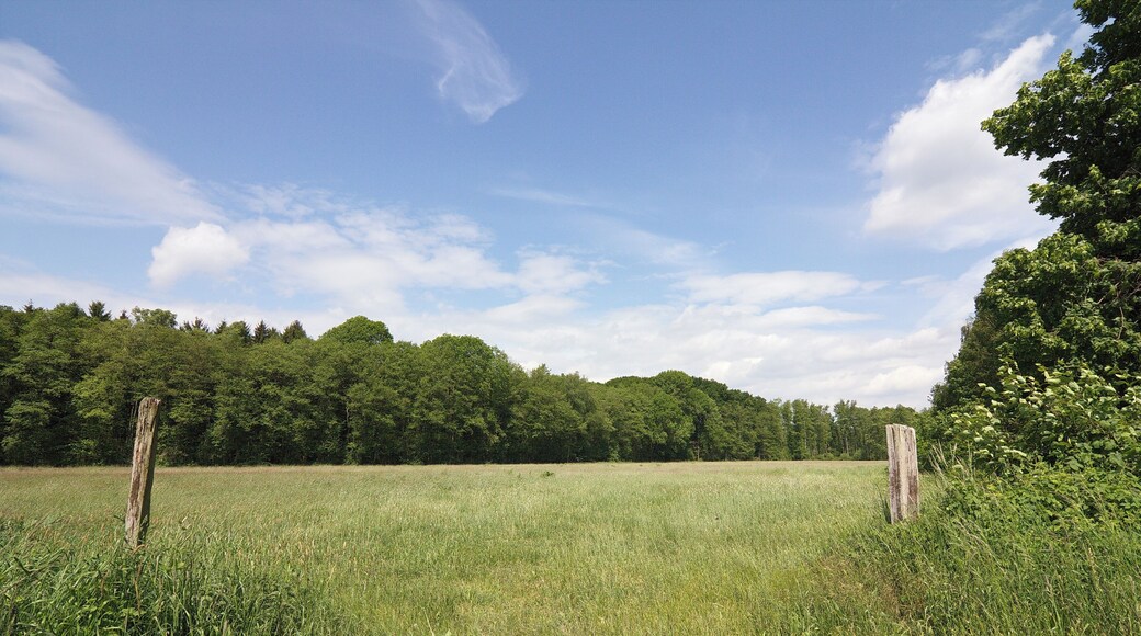 Landschaftsschutzgebiet Burgdorfer Holz an der Burgdorfer Aue in Niedersachsen, Deutschland