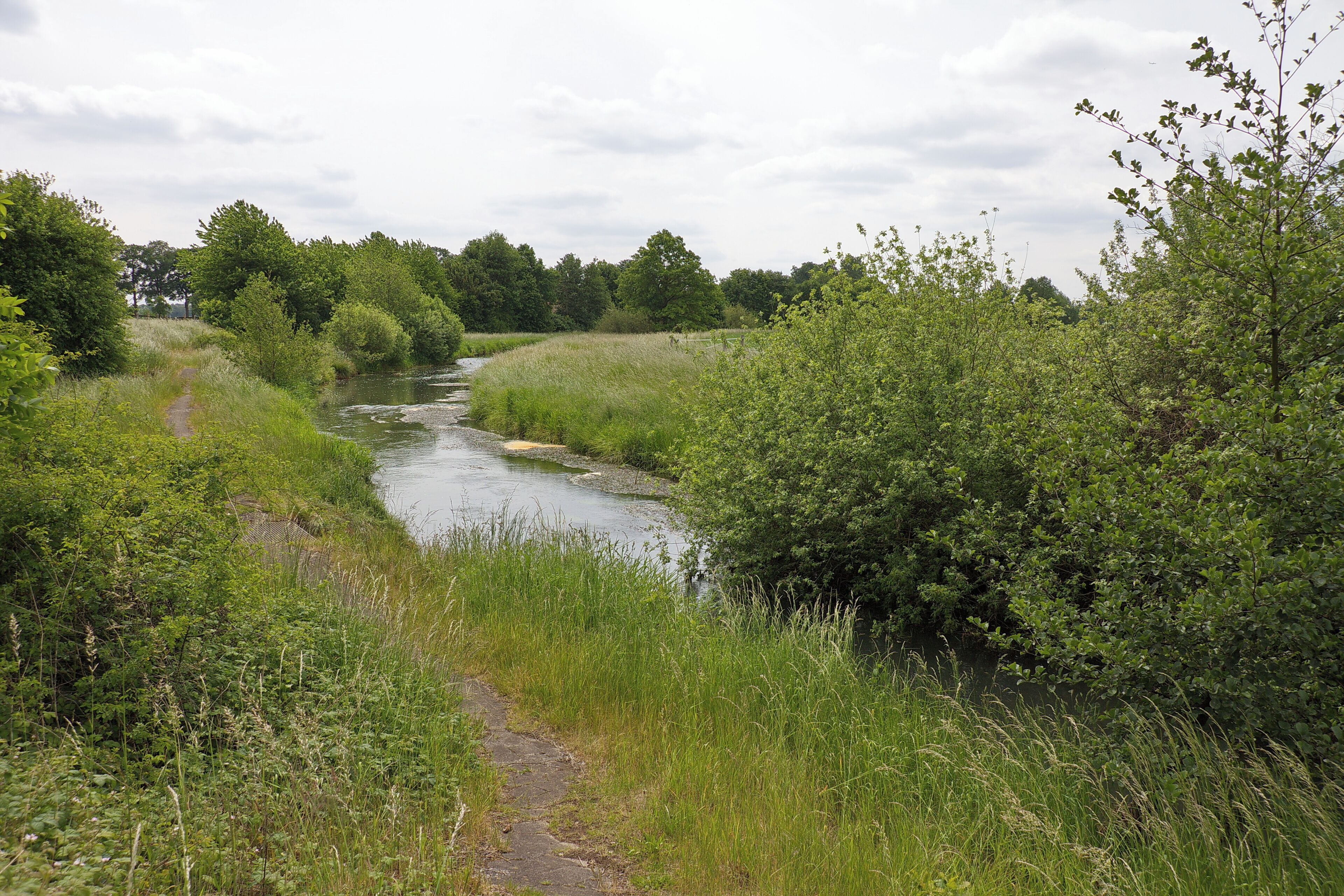 Aue im LSG Burgdorfer Holz vor Obershagen (Uetze), Niedersachsen, Deutschland