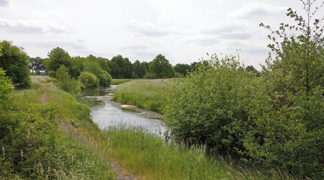 Aue im LSG Burgdorfer Holz vor Obershagen (Uetze), Niedersachsen, Deutschland