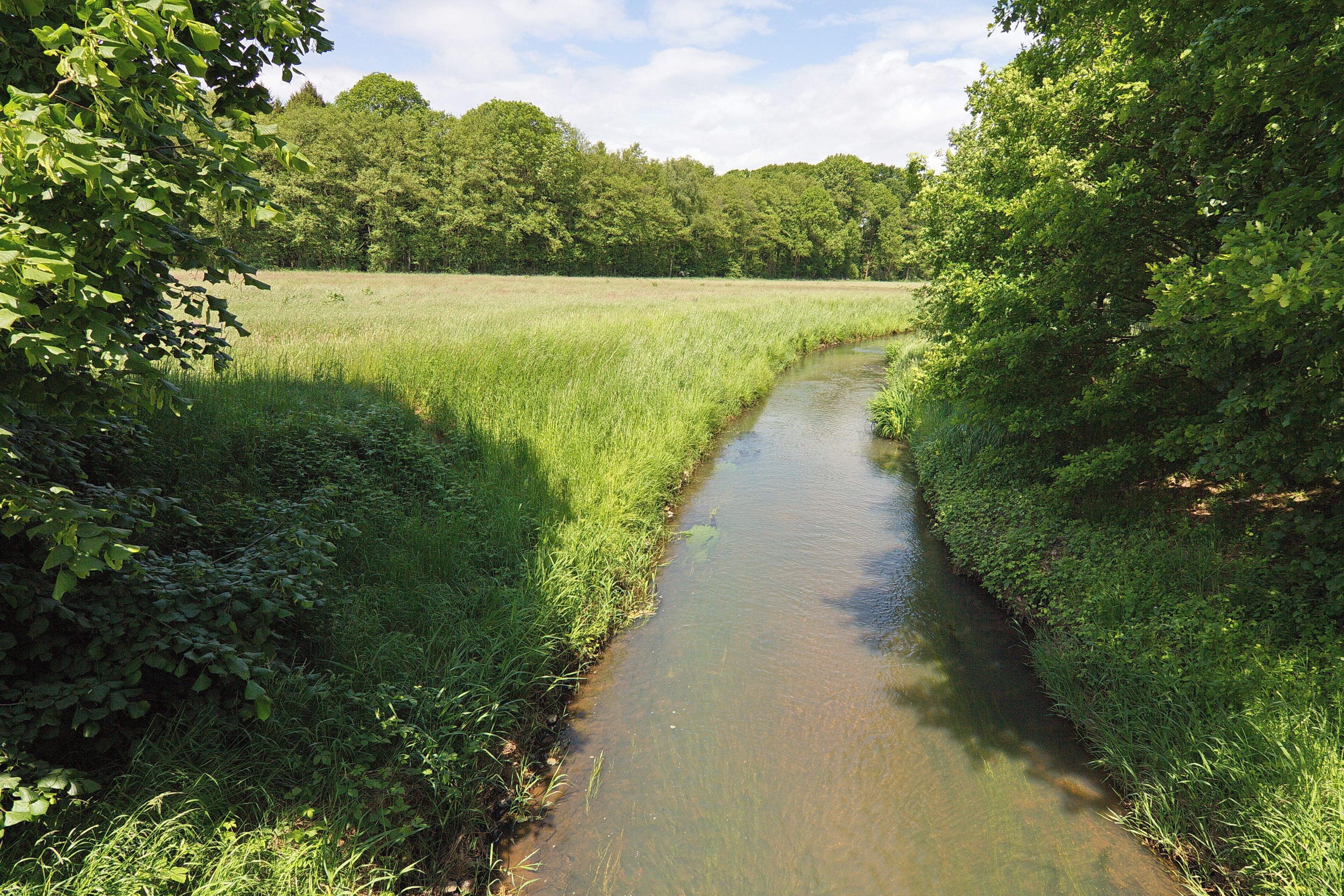 Landschaftsschutzgebiet Burgdorfer Holz an der Burgdorfer Aue in Niedersachsen, Deutschland