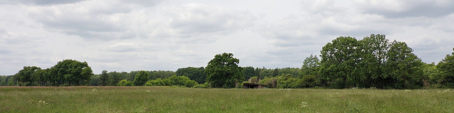 Aue im LSG Burgdorfer Holz vor Obershagen (Uetze), Niedersachsen, Deutschland