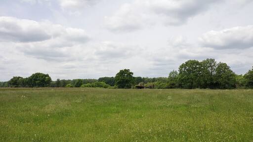 Aue im LSG Burgdorfer Holz vor Obershagen (Uetze), Niedersachsen, Deutschland