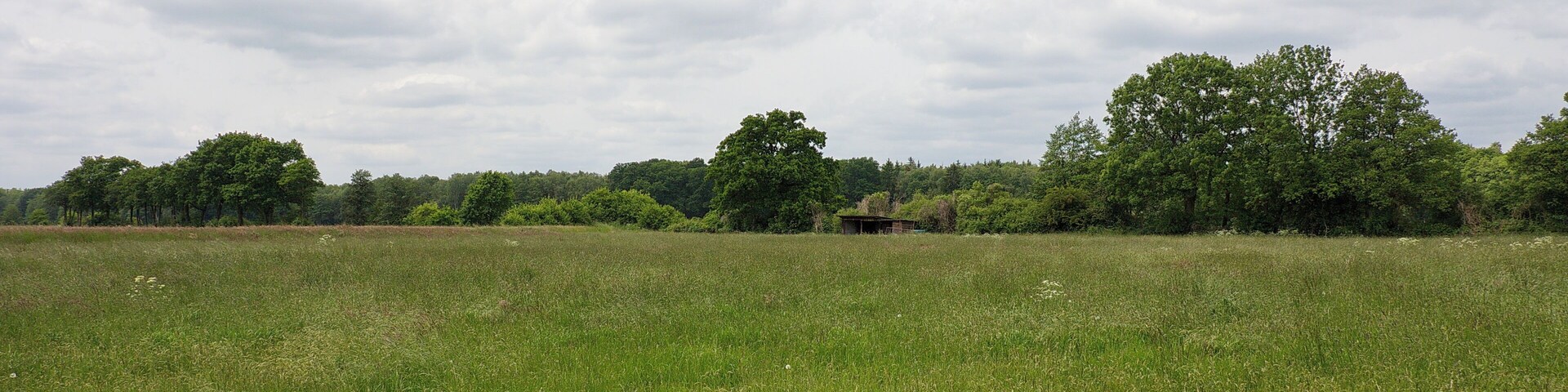 Aue im LSG Burgdorfer Holz vor Obershagen (Uetze), Niedersachsen, Deutschland