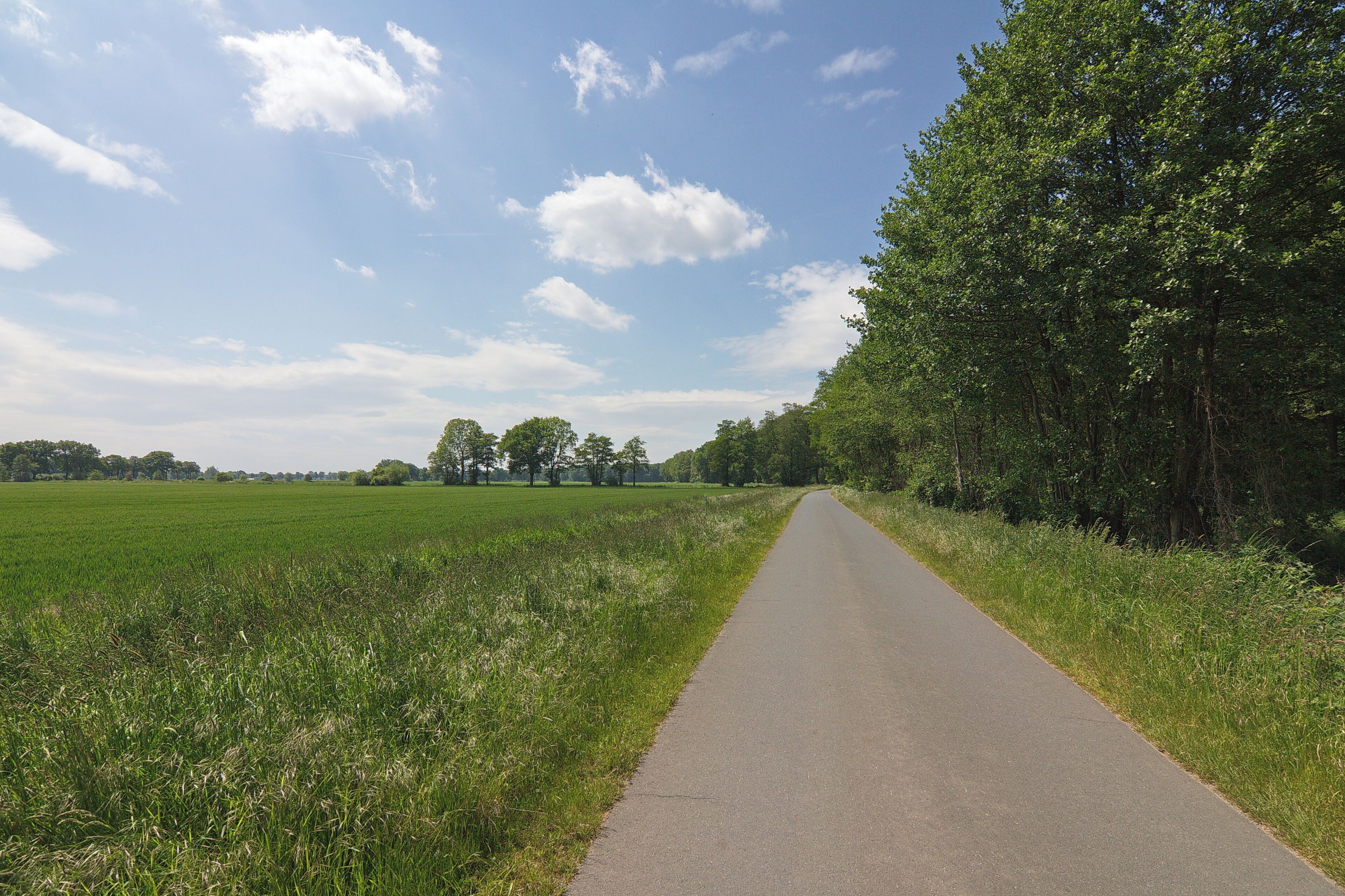 Landschaftsschutzgebiet Burgdorfer Holz an der Burgdorfer Aue in Niedersachsen, Deutschland