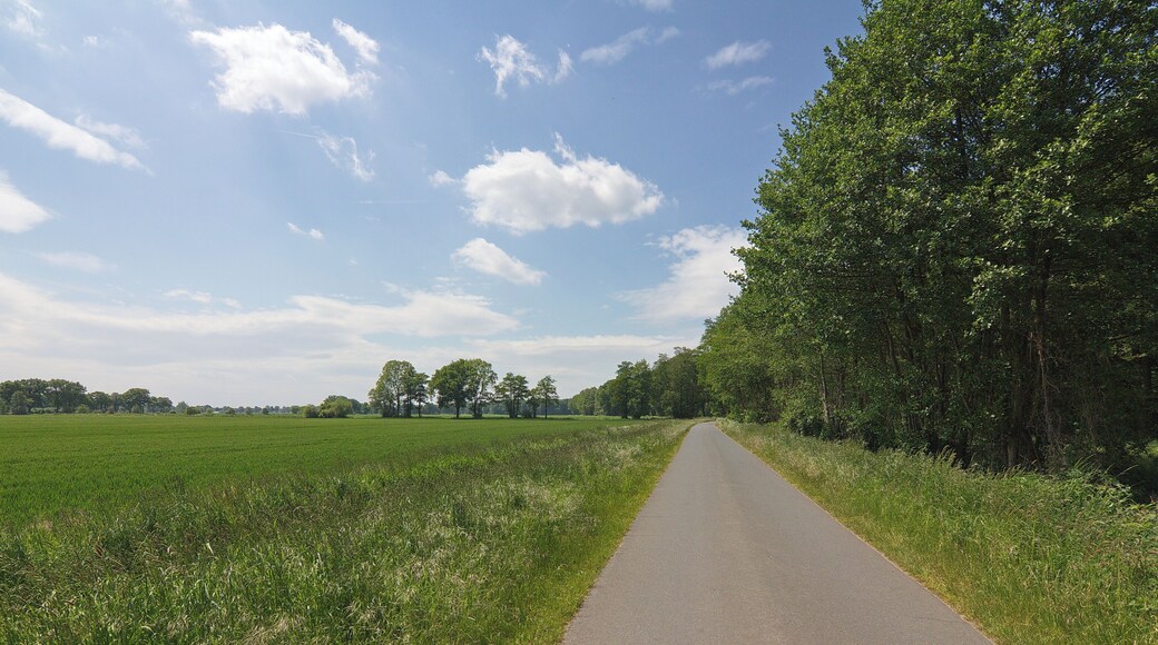 Landschaftsschutzgebiet Burgdorfer Holz an der Burgdorfer Aue in Niedersachsen, Deutschland