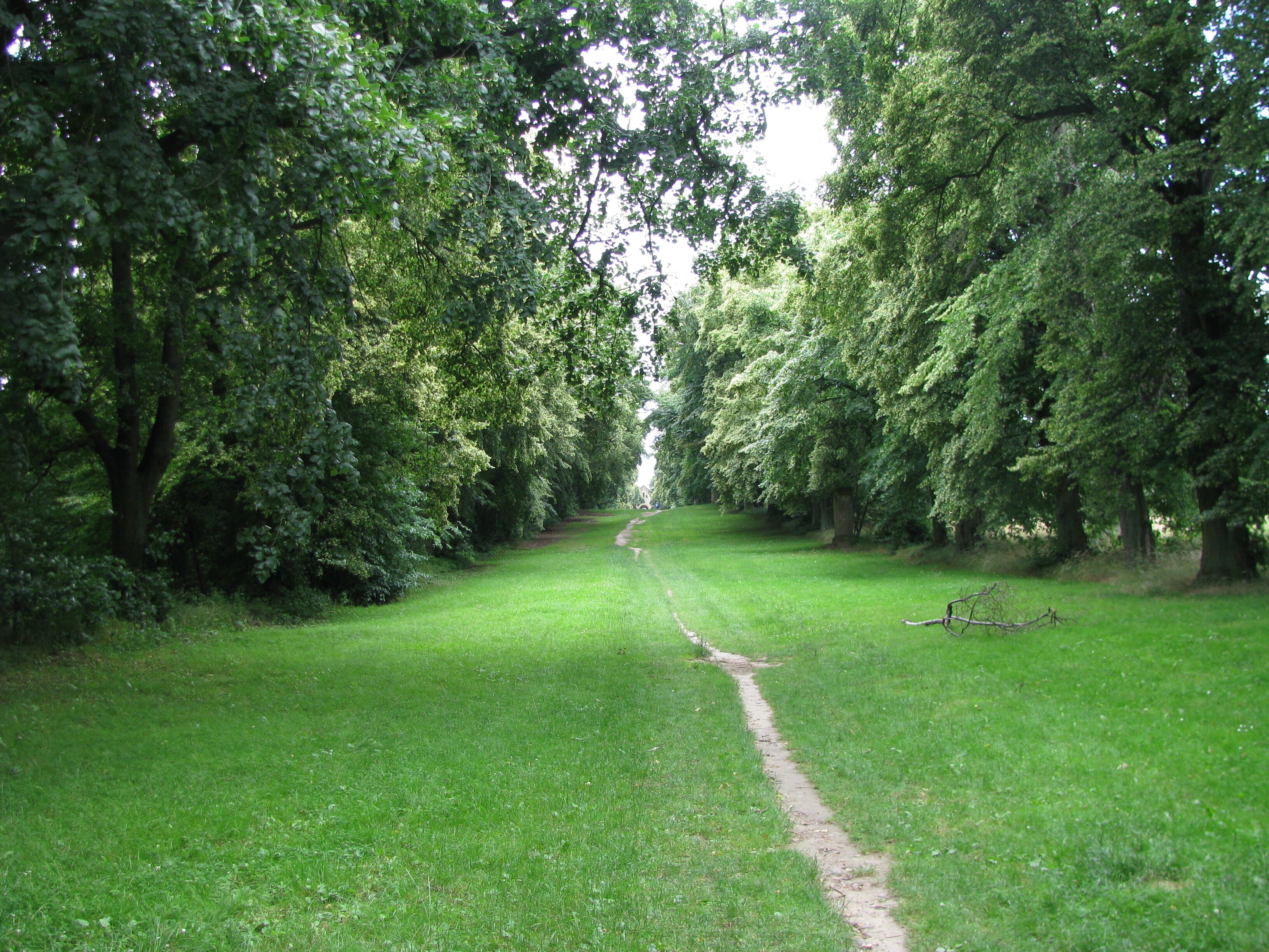 die Allee zur Kreuzbergkapelle