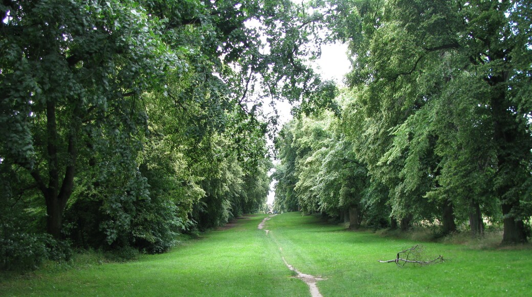 die Allee zur Kreuzbergkapelle