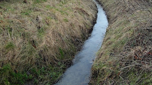 Der Levster Bach in Redderse, Stadtteil von Gehrden, Region Hannover, Niedersachsen, Deutschland