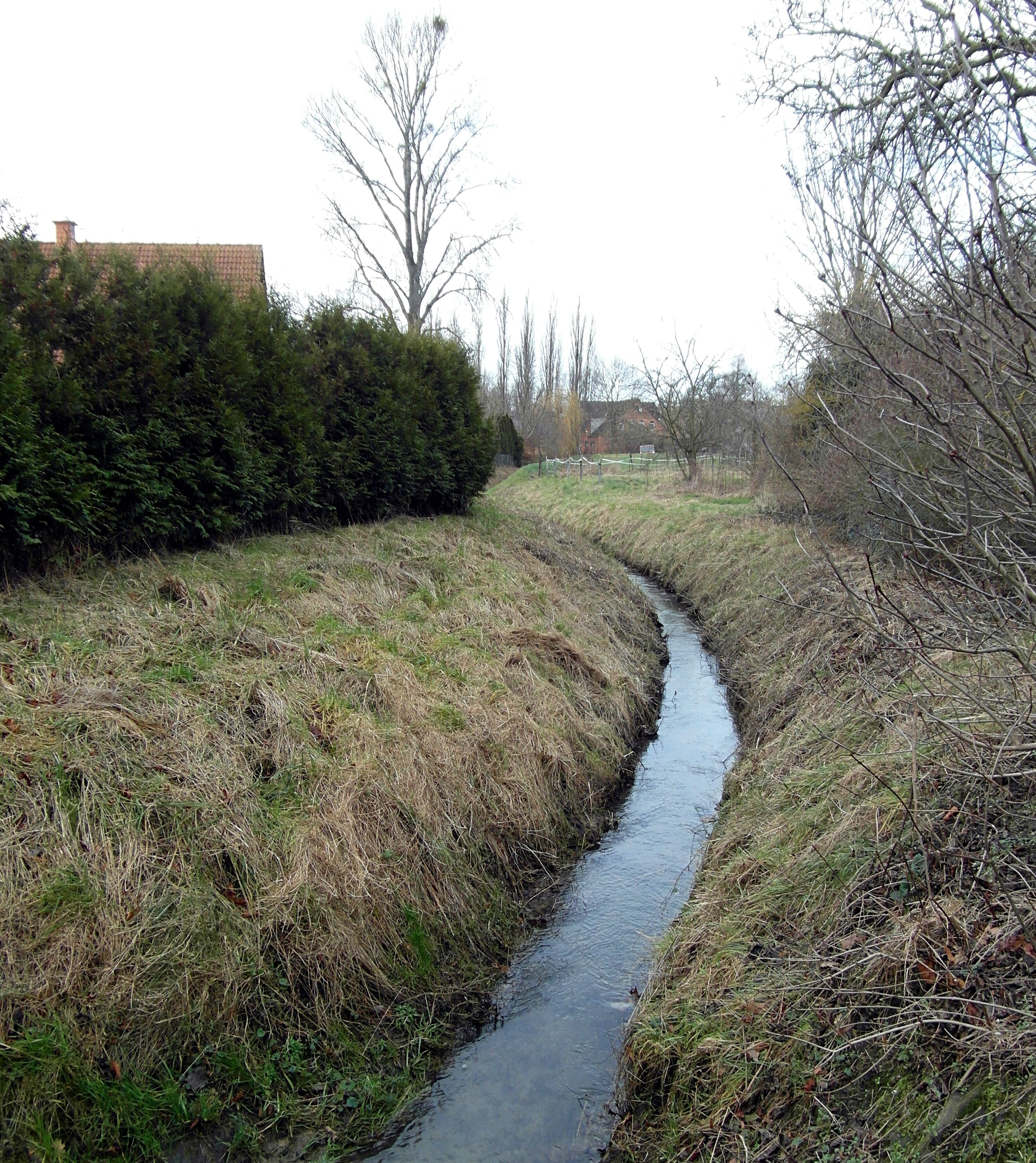 A narrow water channel flanked by dense shrubbery and trees, with a building in the background.