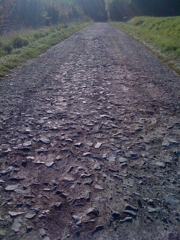A gravel road flanked by grass and trees.