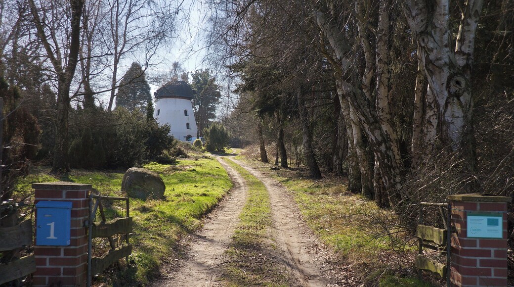 Schneeren (Neustadt a.Rbg.), Niedersachsen, Deutschland