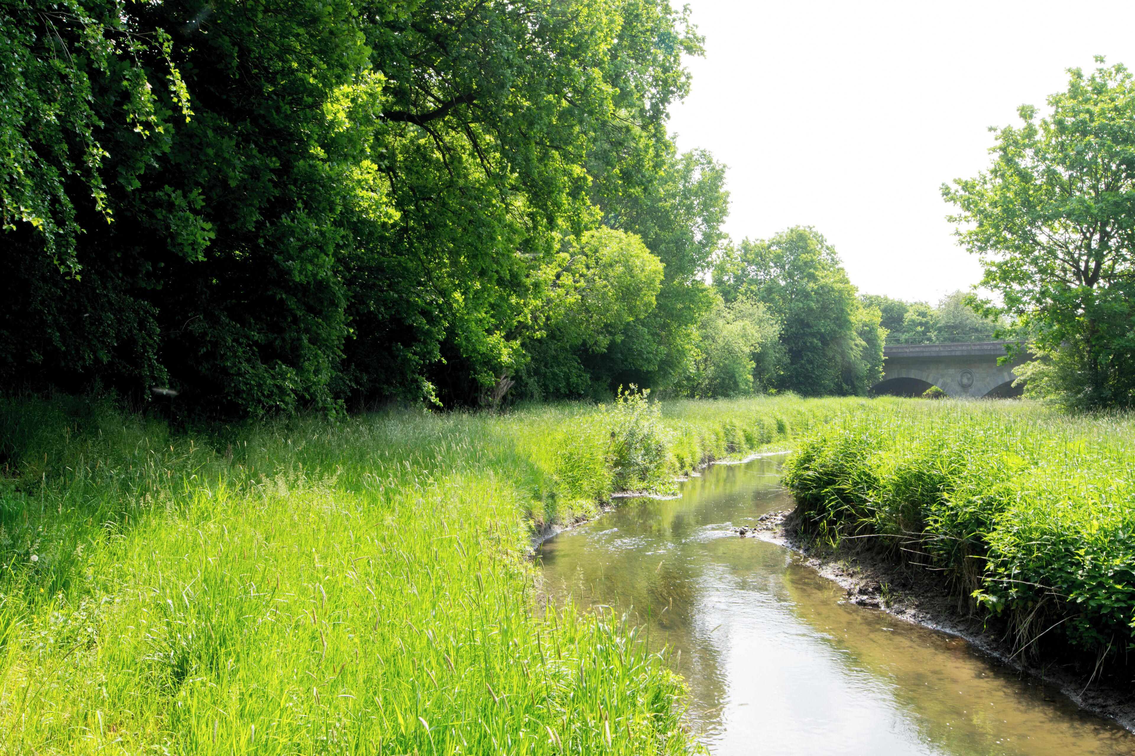 NSG Im Himmelreich - Bereich Burgdorfer Aue