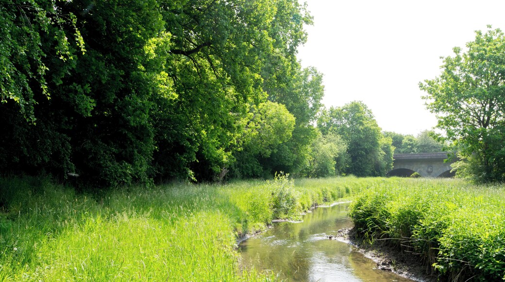 NSG Im Himmelreich - Bereich Burgdorfer Aue