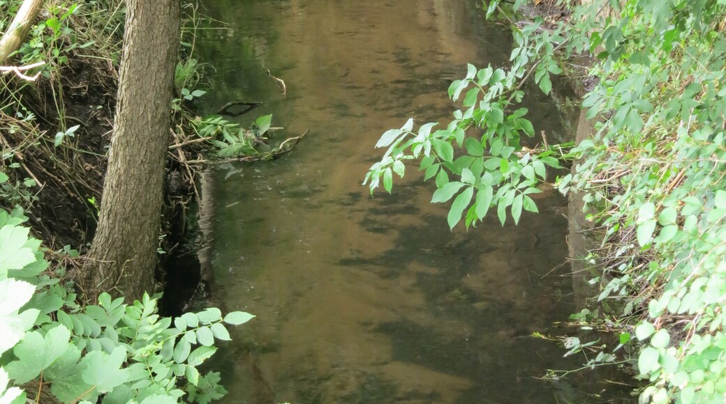 Die Sudweyher Beeke in Weyhe-Sudweyhe am Nordende der Straße "Achter de Beeke" (Blick in Fließrichtung)