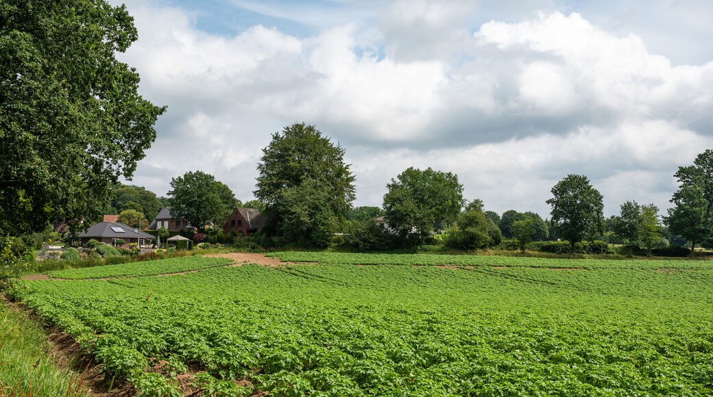Vahrendorf