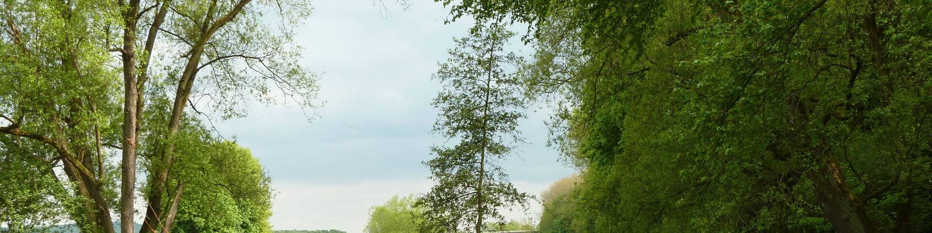 MĂŒndung der Grone in die Leine bei Göttingen, SĂŒdniedersachsen, gelegen im Landschaftsschutzgebiet Leinetal