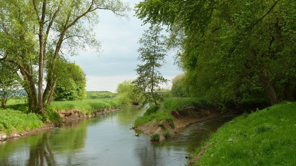 A calm river flanked by lush greenery and trees.