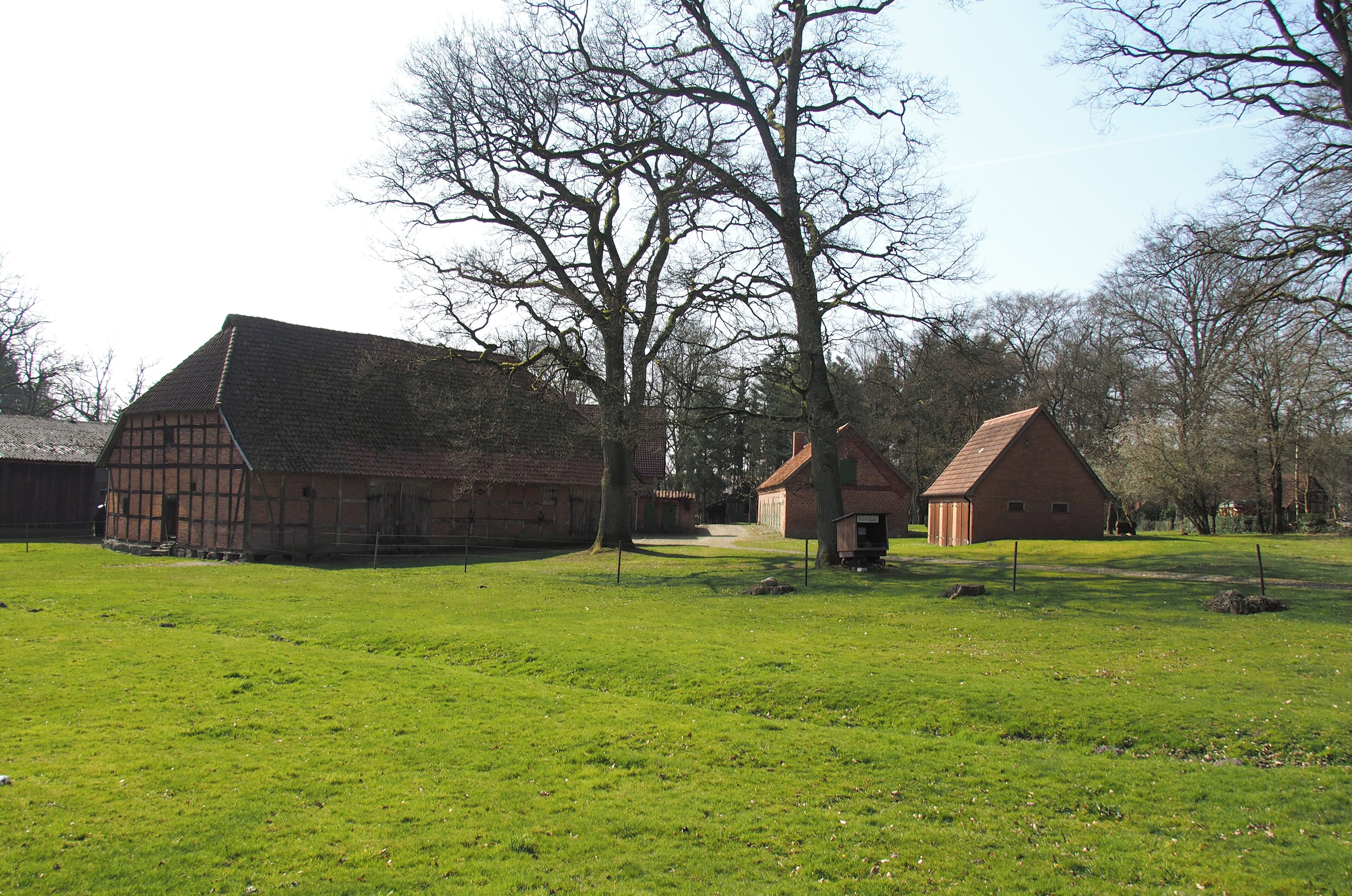 A rural landscape with a traditional half-timbered house, a barn, and a large tree in a grassy field.