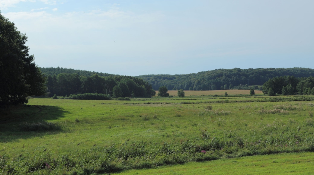 This is a picture of the protected area listed at WDPA under the ID