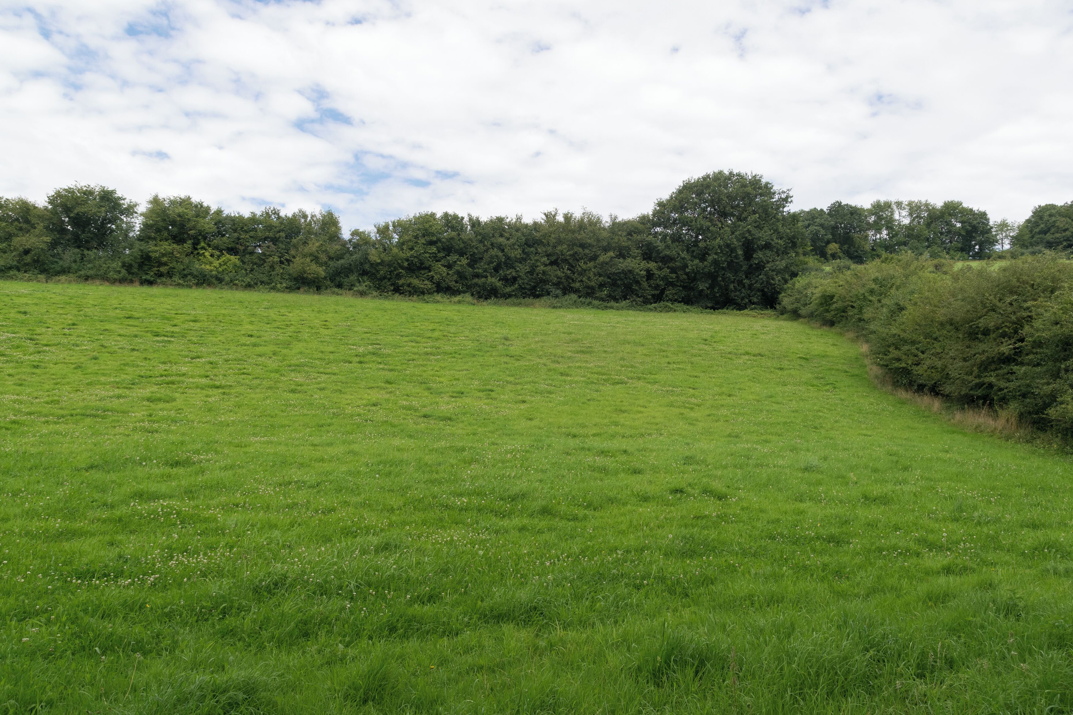 Naturschutzgebiet "Rinnenberg", Extertal, Kreis Lippe