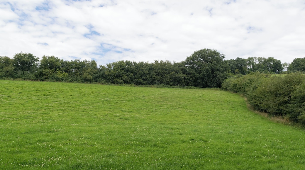 Naturschutzgebiet "Rinnenberg", Extertal, Kreis Lippe