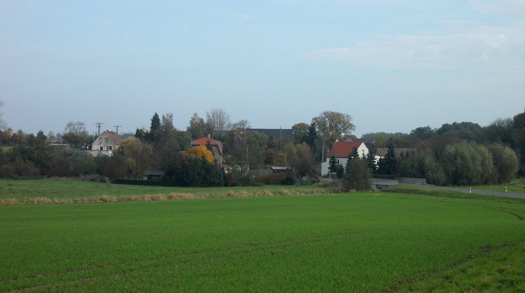 Denkwitz (Grimma, Leipzig district, Saxony) from the south-west
