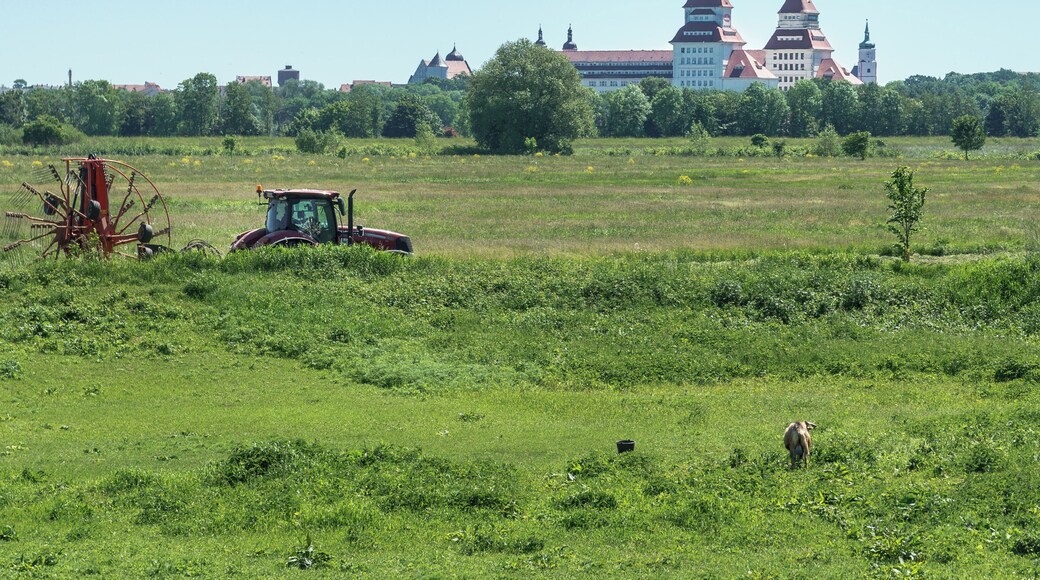 This media shows the protected monument of Saxony with the ID 09255723 KDSa/09255723(other).