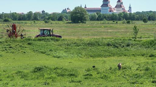 This media shows the protected monument of Saxony with the ID 09255723 KDSa/09255723(other).