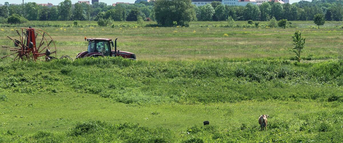 A green field with a tractor and a large building with a red roof in the background.