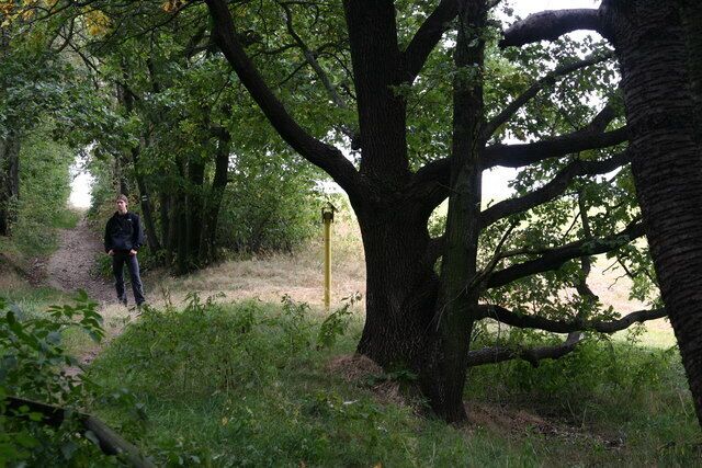 Rundwanderweg um Chemnitz zwischen Adelsberg und Adelsbergturm