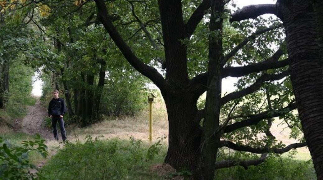 Rundwanderweg um Chemnitz zwischen Adelsberg und Adelsbergturm