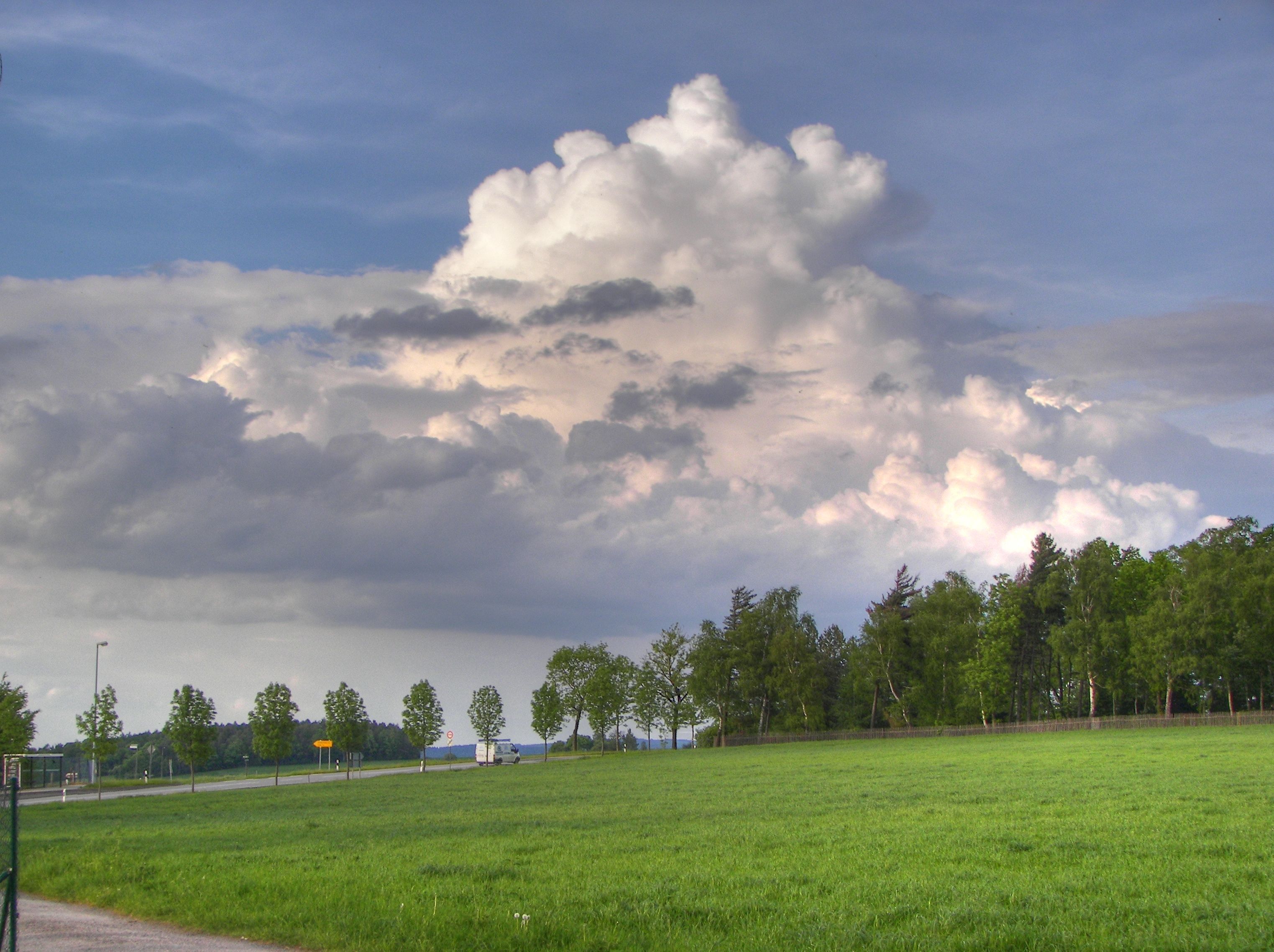 A grassy field with a road and trees under a cloudy sky.