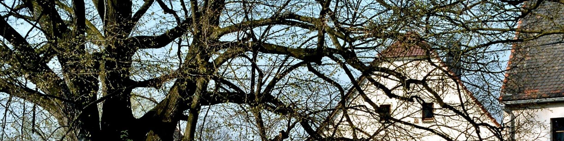 This is a photograph of an architectural monument. It is on the list of cultural monuments of Weltewitz(Jesewitz), no. 08974917