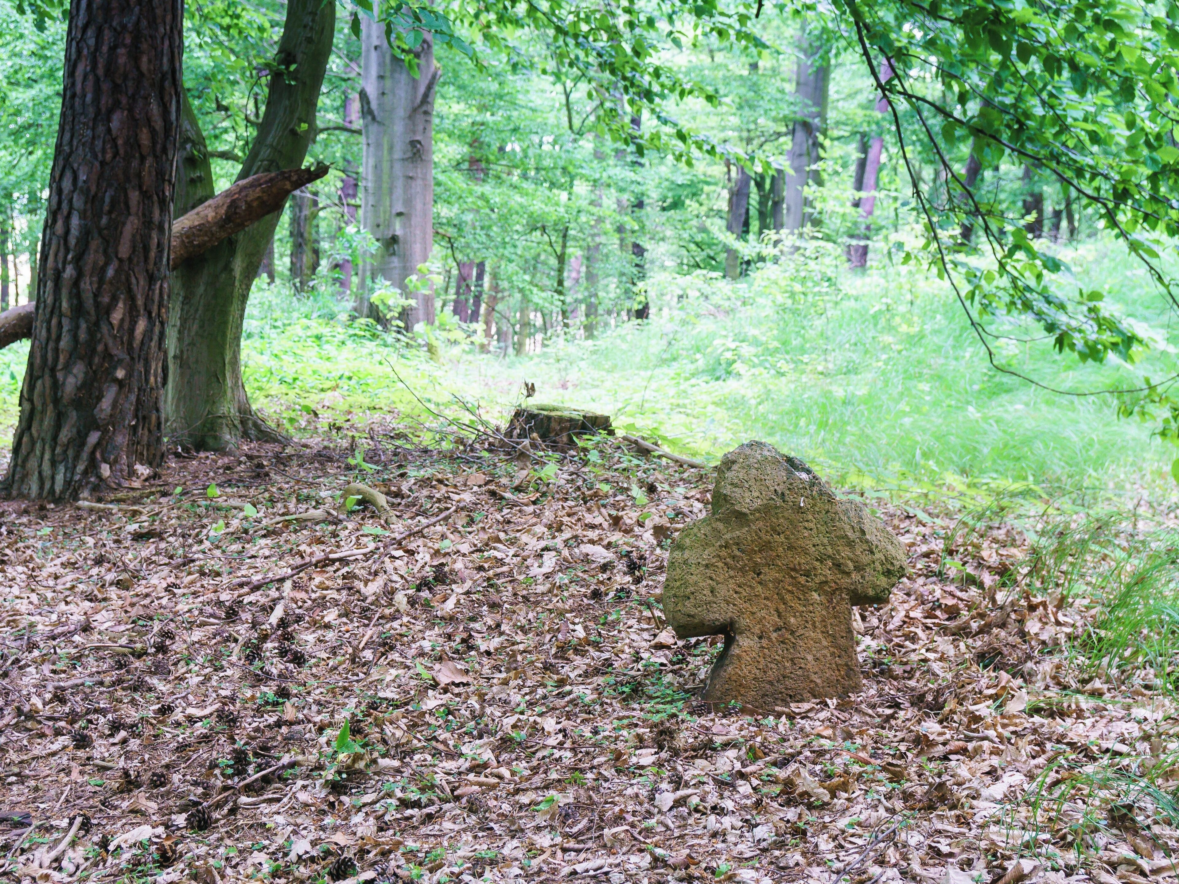 Steinkreuz südöstlich von Höfgen, nördlich vom Leichenweg im Müncherholz in Grimma OT Förstgen