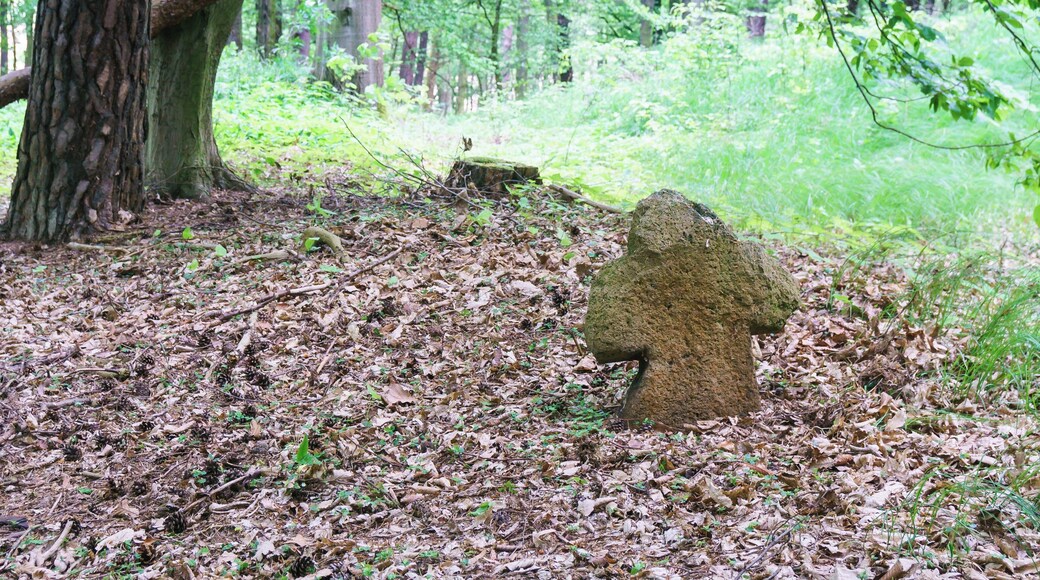 Steinkreuz südöstlich von Höfgen, nördlich vom Leichenweg im Müncherholz in Grimma OT Förstgen