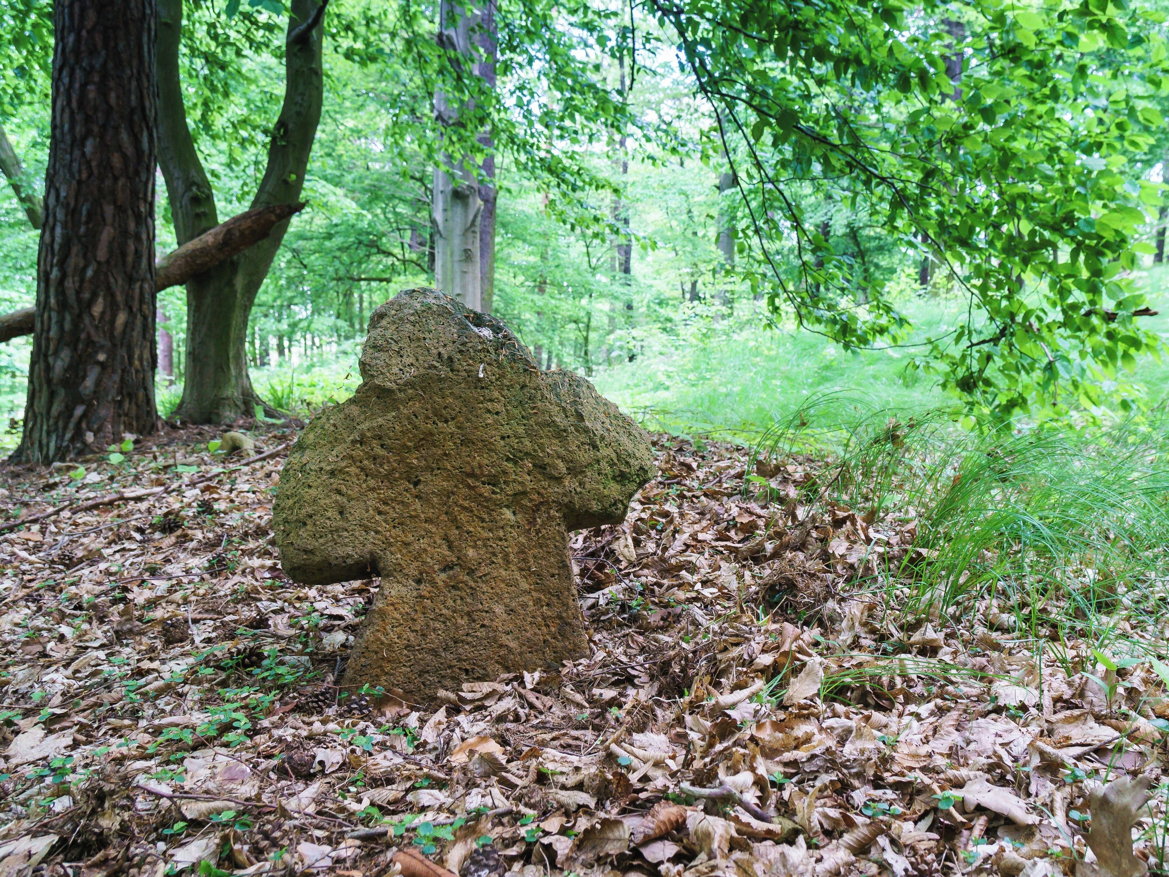 Steinkreuz südöstlich von Höfgen, nördlich vom Leichenweg im Müncherholz in Grimma OT Förstgen