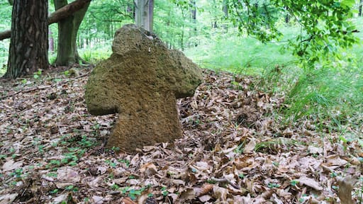 Steinkreuz südöstlich von Höfgen, nördlich vom Leichenweg im Müncherholz in Grimma OT Förstgen