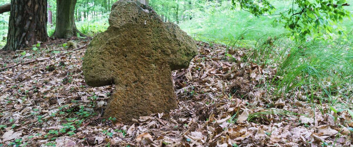 A moss-covered rock formation resembling a bear in a forest.