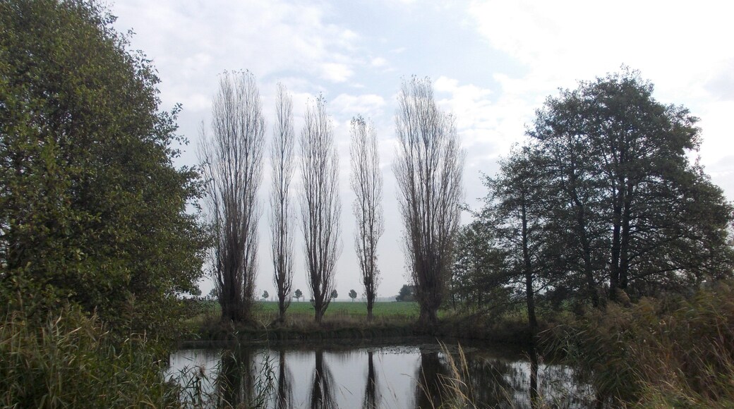 Pond north of Gornewitz (Grimma, Leipzig district, Saxony)
