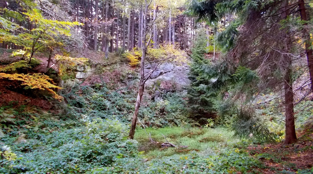 Alter Steinbruch am Kesselberg bei Rammenau