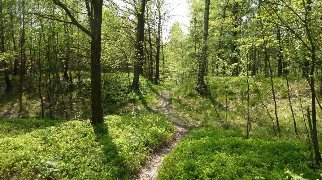 Binnewitz, Schmoritz