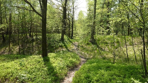 Binnewitz, Schmoritz