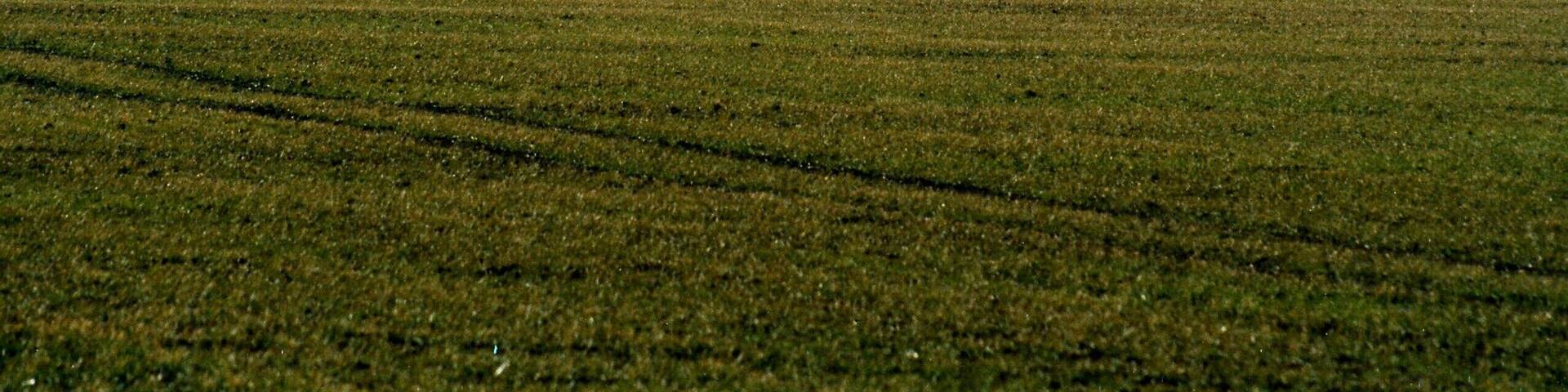 View to the village Gimritz