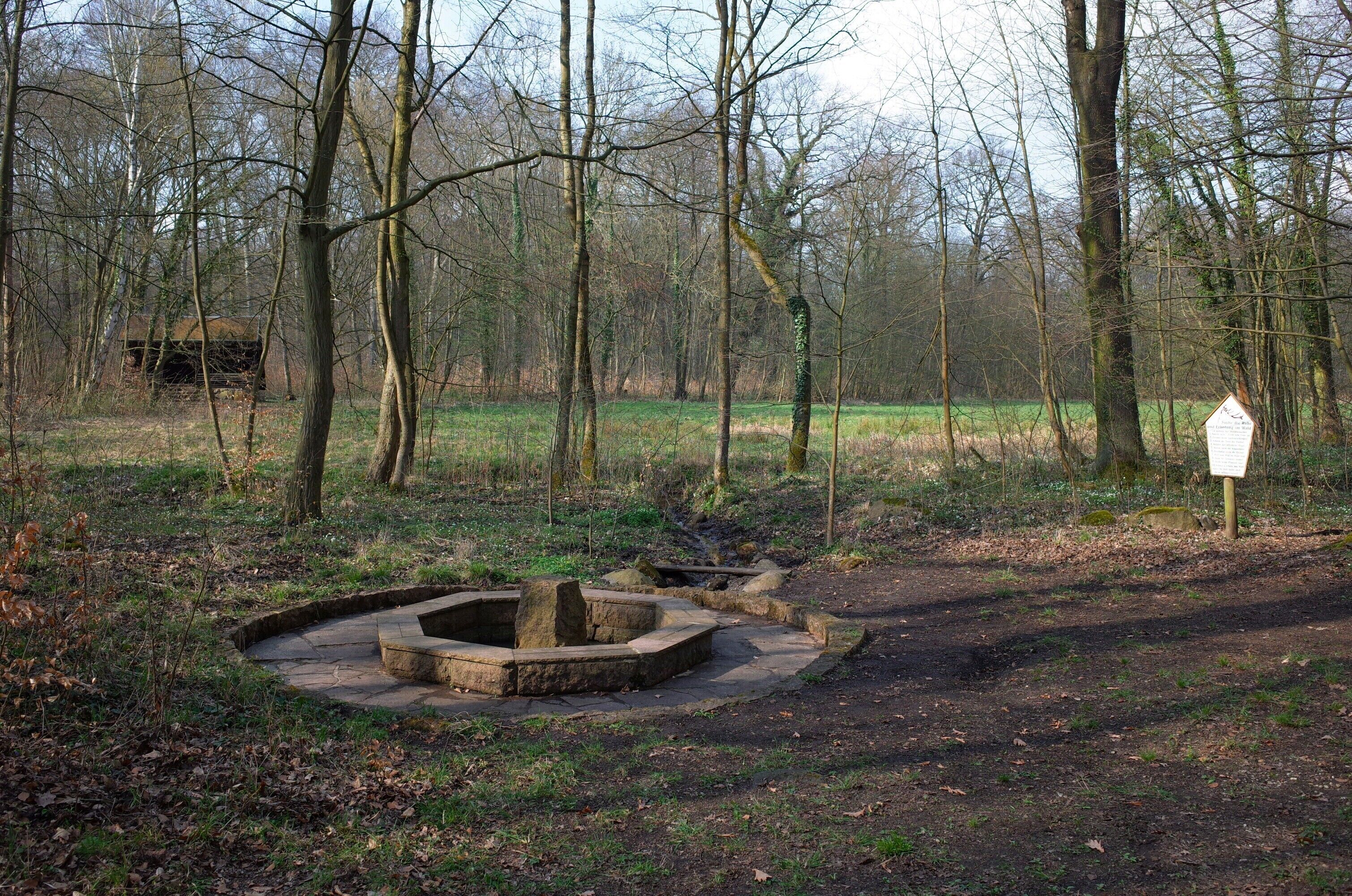 Burgkemnitz, Quelle Gesundbrunnen im gleichnamigen Flächennaturdenkmal (FND).